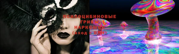 ПСИЛОЦИБИНОВЫЕ ГРИБЫ Новокубанск