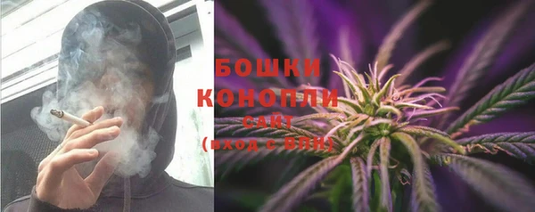 первитин Новозыбков