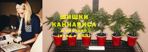 каннабис Новодвинск