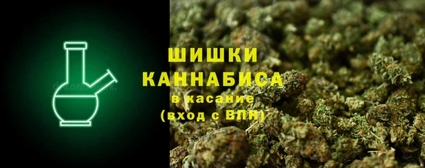 ПСИЛОЦИБИНОВЫЕ ГРИБЫ Новокубанск
