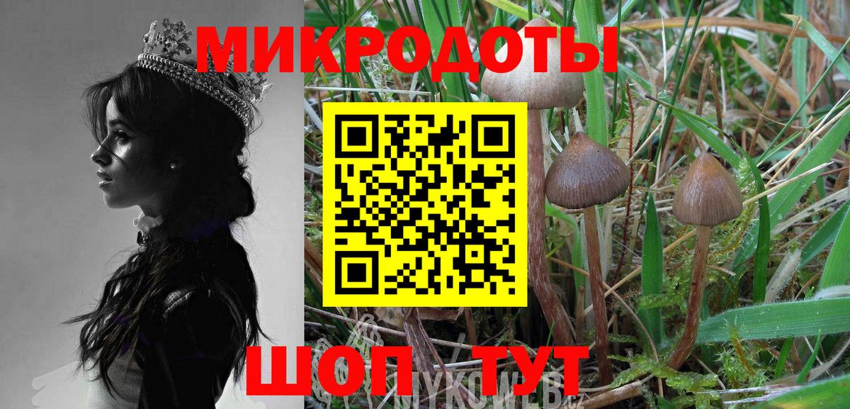 Псилоцибиновые грибы GOLDEN TEACHER Хасавюрт