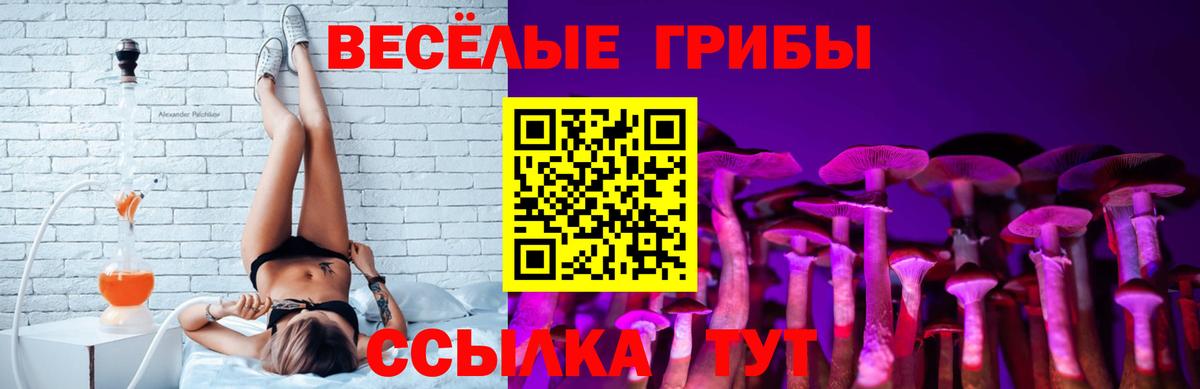 Галлюциногенные грибы GOLDEN TEACHER  Вход с VPN  Хасавюрт  Галлюциногенные грибы Cubensis 